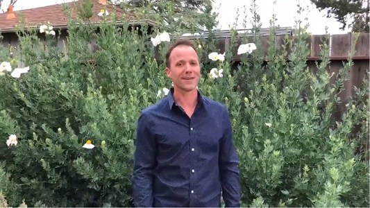 Wednesday's Wellness Tips: Respiratory Expansion